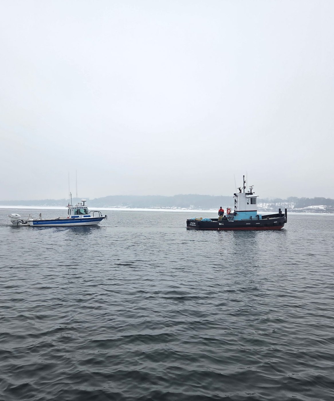 Large Vessel Assit